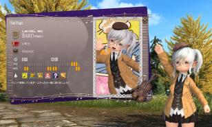 Want to impress friends and strangers in FFXIV? Check out the Adventurer Plate system to find out how!