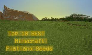 Thumbnail of a Flat Biome in Minecraft